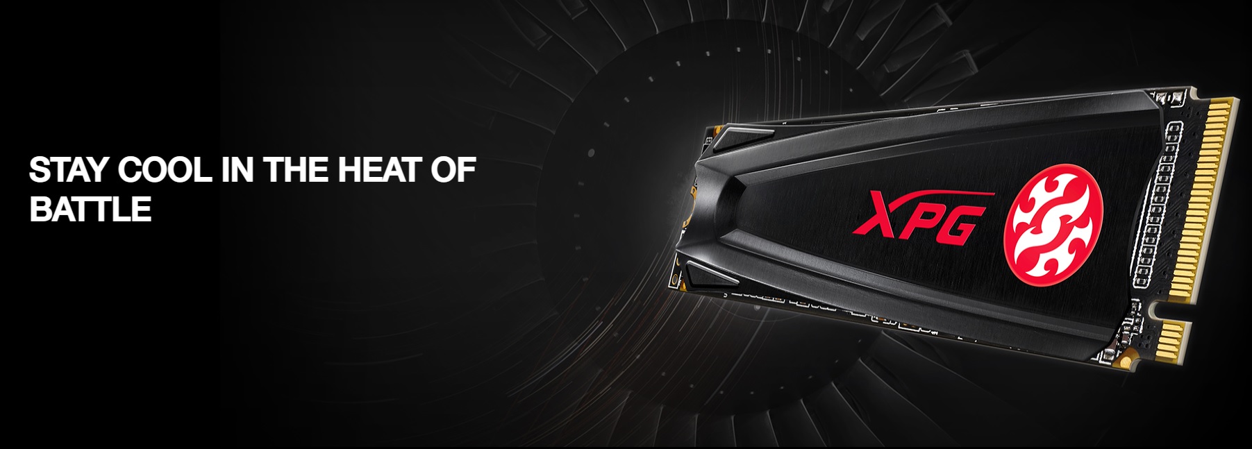 Xpg gammix hotsell s5 256gb