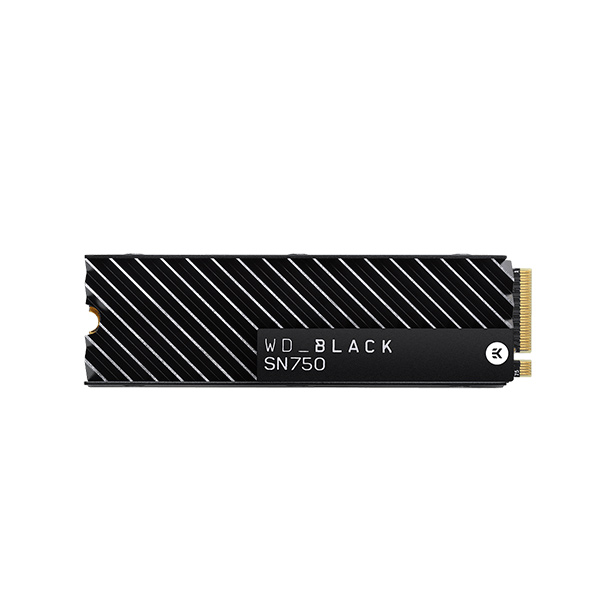 WD Black SN750 500GB M.2 NVMe with Heatsink