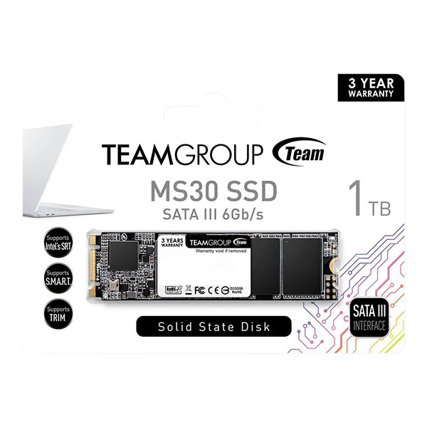 TeamGroup MS30 M2 1TB SATA