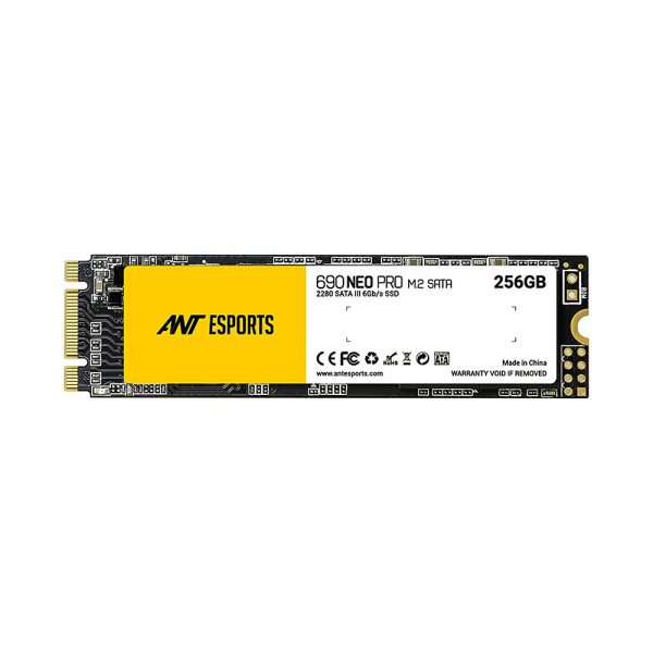 Ant Esports 690 Neo Pro 256GB M.2 SATA
