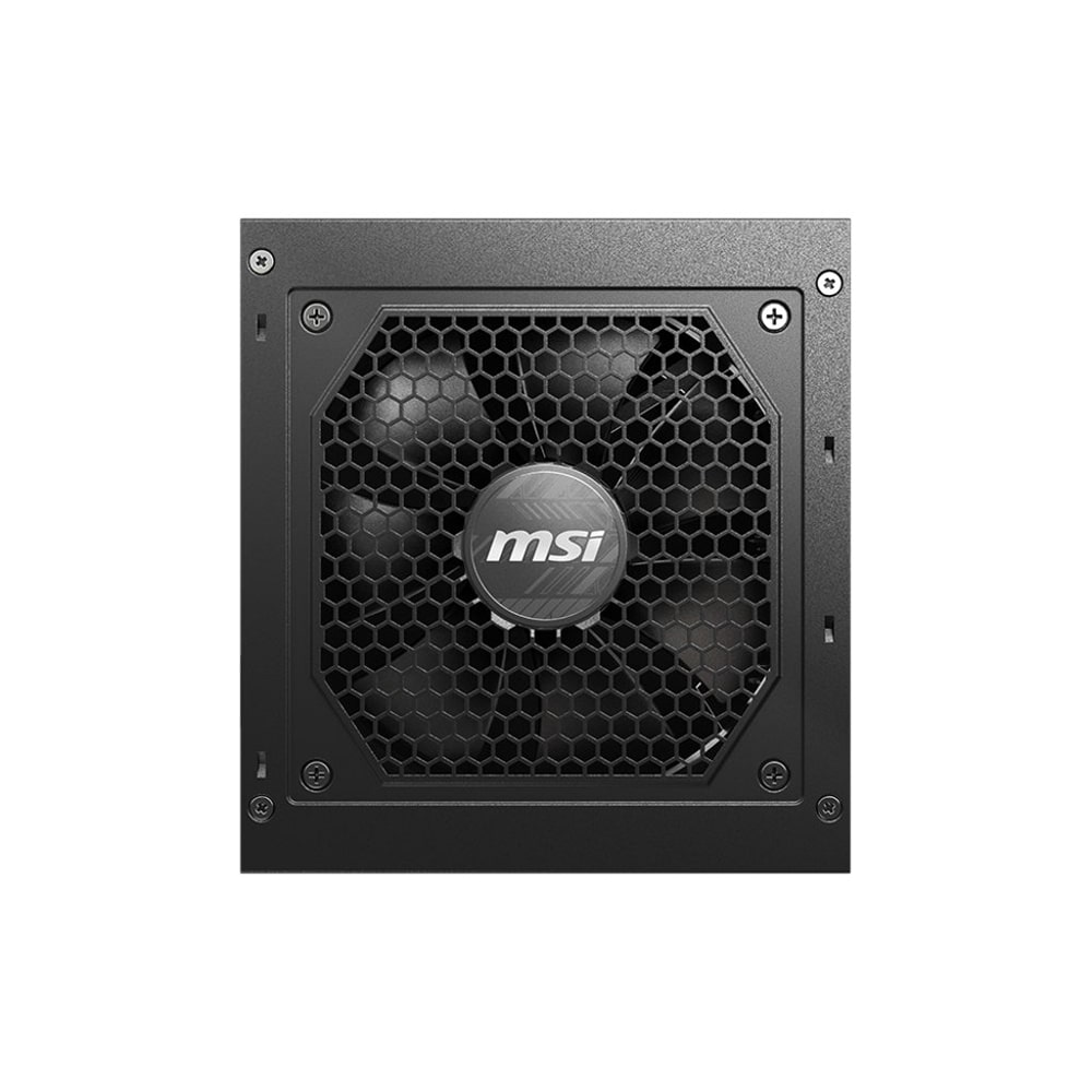 MAG A750GL PCIE5, Power Supply