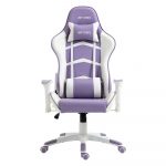Ant Esports 9077 White Purple Ergonomic Gaming Chair