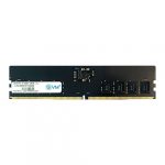 EVM 16GB (16GBx1) 5600Mhz CL19 DDR5 Desktop RAM